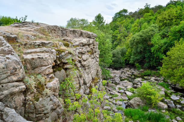 istock Green trees in a canyon against a cloudy sky background 825125156