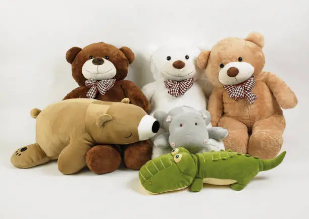 Photo of Big bears and friends isolated