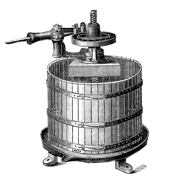 фруктовая пресса - wine vinegar stock illustrations