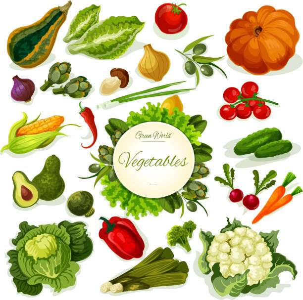 warzywa wegańskie jedzenie wektor plakat - vegetable leek kohlrabi radish stock illustrations