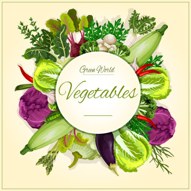 illustrations, cliparts, dessins animés et icônes de conception d’affiche de feuilles de légumes, champignons et salade - fruits et légumes
