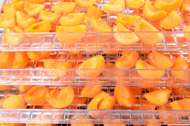 Cut apricots on dehydrator tray,fruit dryer