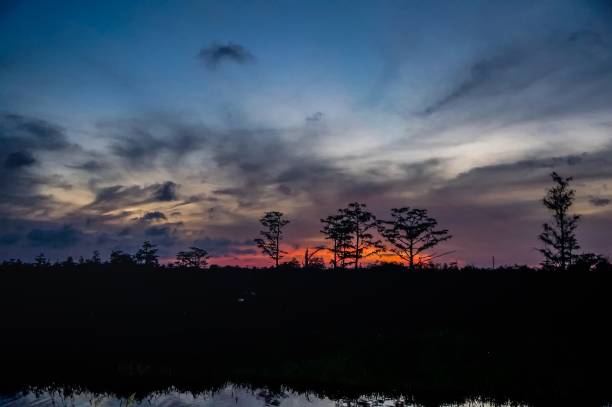 istock moon over cypress swamp 825150174