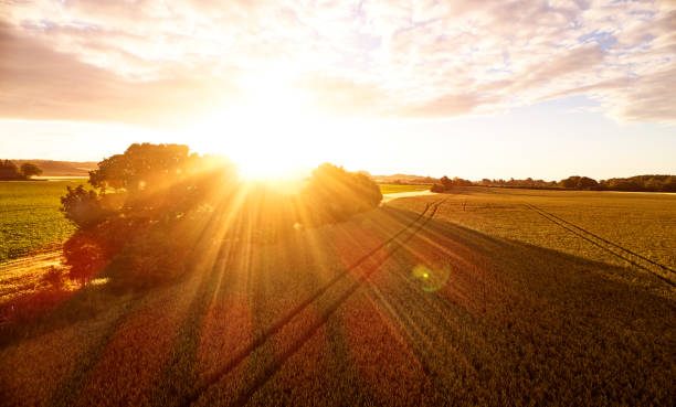 istock Sunrise in the countryside 825150428