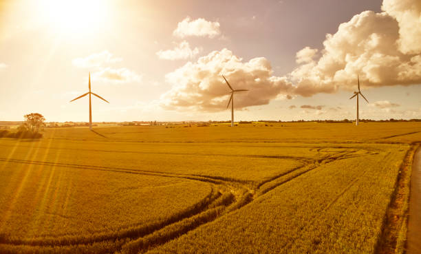 Three Wind turbines in field stock photo