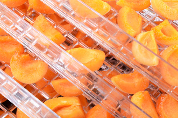 istock Cut apricots on dehydrator tray,fruit dryer 825154340