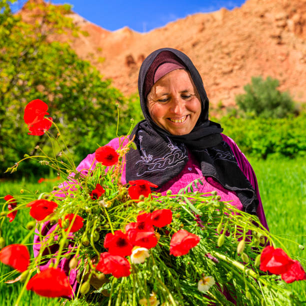 Moroccan woman working in the garden in Rose Valley, near Ouarzazate, Morocco.