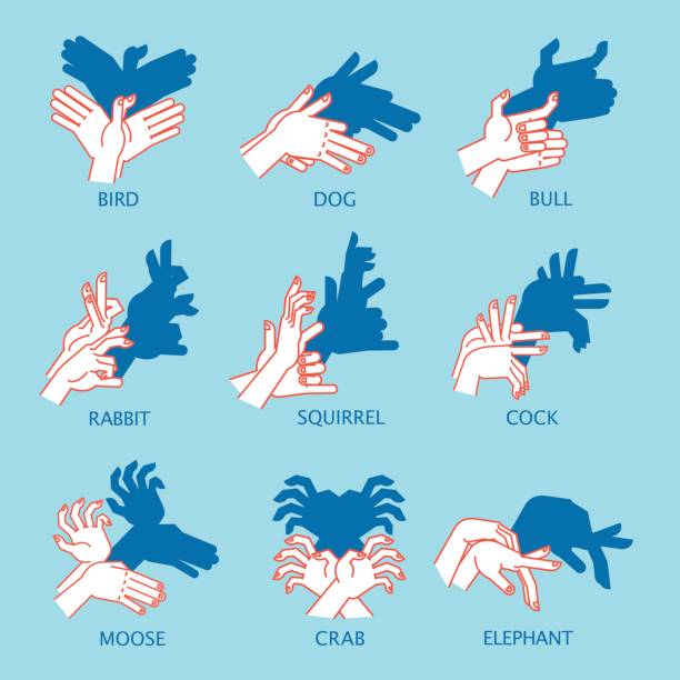 Shadow Theater Hands Gesture Like Flying Bird Vector Illustration Of Shadow  Hand Puppet Stock Illustration - Download Image Now - iStock