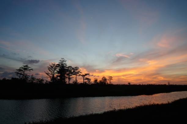 istock Orange Sunset in the Everglades 825159314