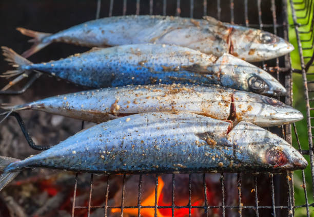 istock Fried on the grill fish mackerel in nature. 825160378