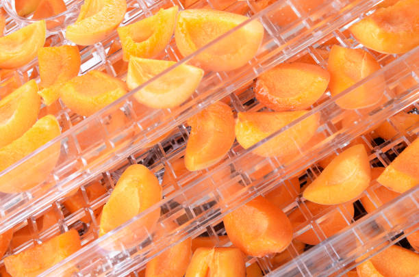 istock Cut apricots on dehydrator tray,fruit dryer 825163894
