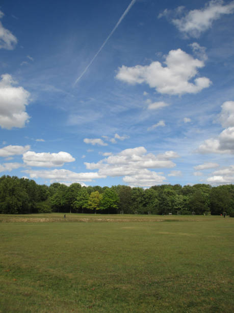 istock Sports field on grass lined with trees 825167082