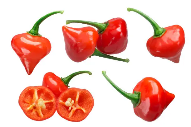 Chupetinho or Biquinho chile peppers (Capsicum chinense), whole and split. Clipping path for each pod.