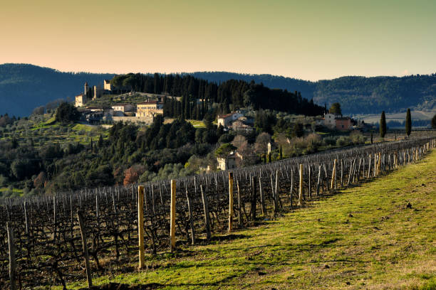 中世の村の nipozzano 冬のシーズン中にブドウ畑を持つ。フィレンツェ、イタリア。 - tuscany florence italy chianti region italy ストックフォトと画像