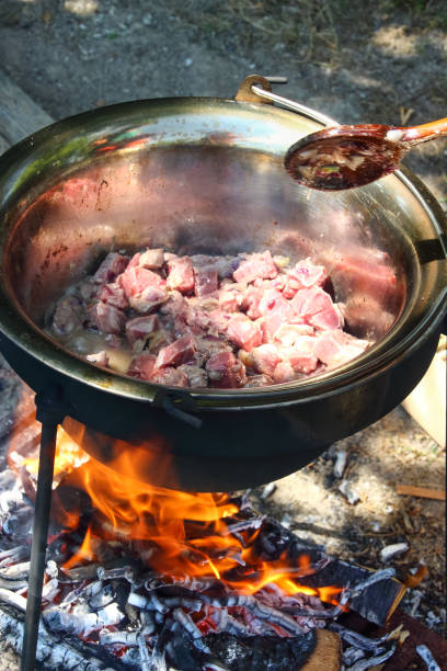 Campfire Stew Outdoor Cooking
