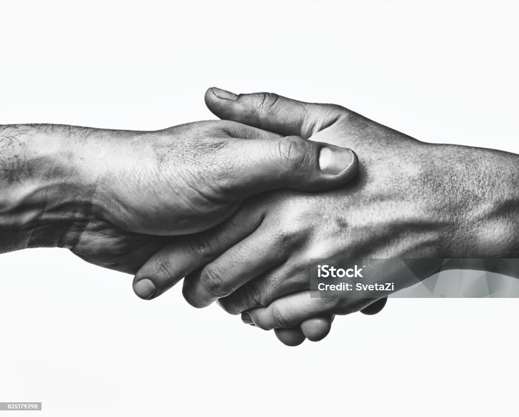 A firm handshake A firm handshake between the two partners. Black and white image on white  background. Concepts Stock Photo