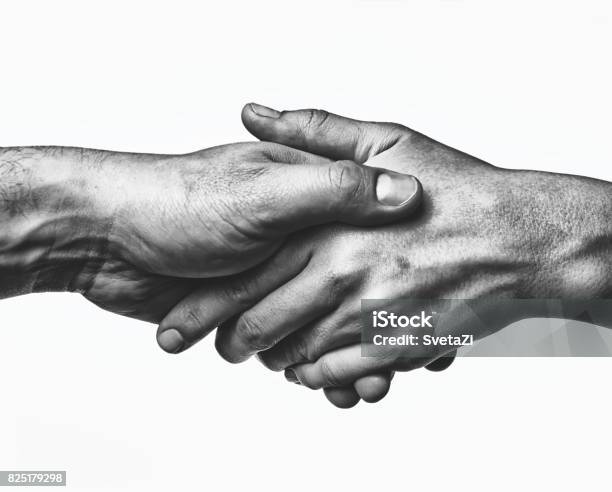 A Firm Handshake Stock Photo - Download Image Now - Concepts, Unity, Hand
