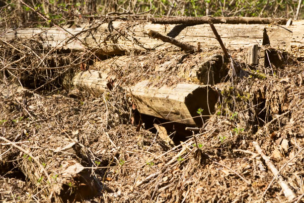 istock Old Wooden Timbers 825183004