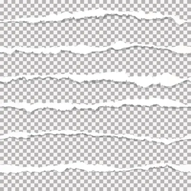 Vector illustration of Set of torn paper edges, seamless horizontally.