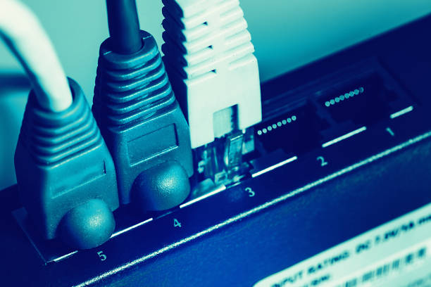 istock shallow DOF blue network cable with connectors 825190334
