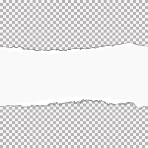 W Ripped Paper 350+ Torn Paper Transparent Stock Illustrations, Royalty-Free Vector ...