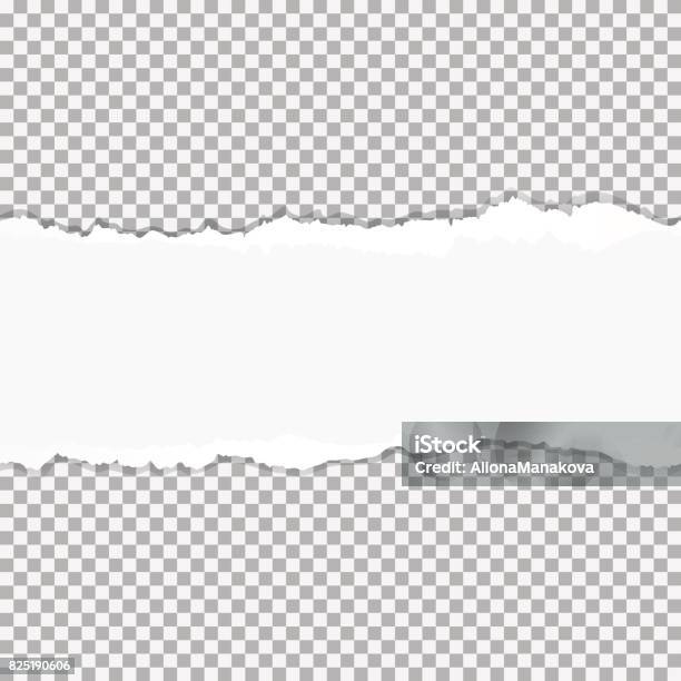 Realistic Vector Torn Paper With Ripped Edges With Space For Your Text Seamless Horizontally Stock Illustration - Download Image Now