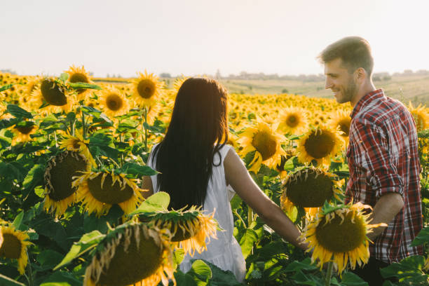 istock Couple embracing in sunflower field at sunset 825194924