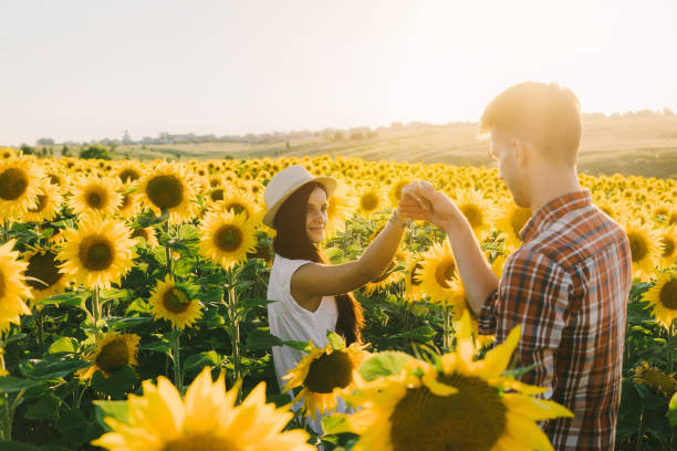 istock Couple walking in sunflower field at sunset 825200880