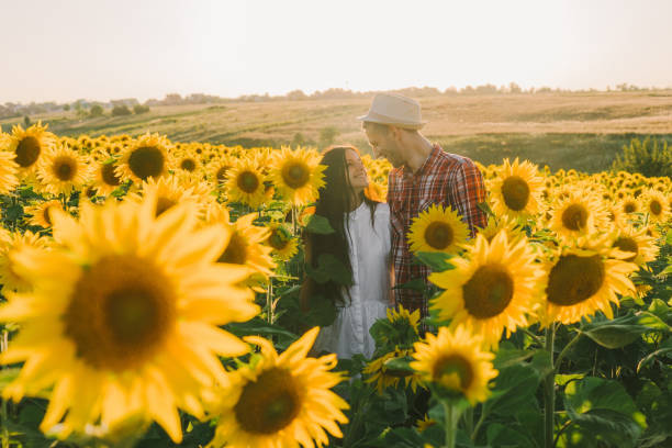 istock Couple embracing in sunflower field at sunset 825208346