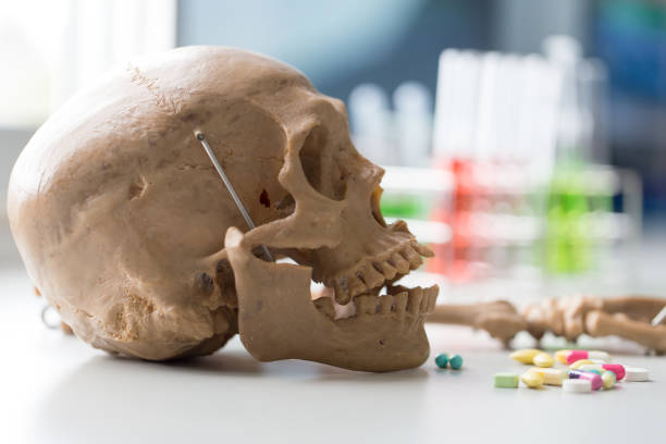 istock Skull model, Hand bones and Dangerous drugs that affect health. 825213084
