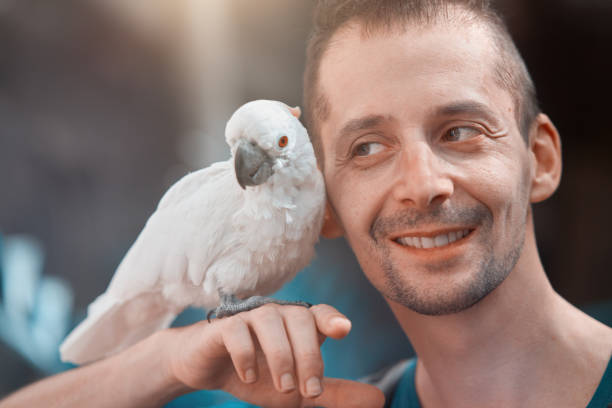 istock man portrait near white tropical parrot 825213986