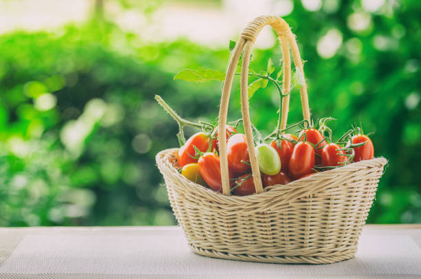 istock Healthy fruit with fresh Red Sweet tomatoes 825214614