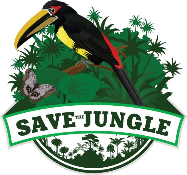 Vector Jungle Emblem with aracari toucanet and butterfly Vector Jungle Emblem with aracari toucanet and butterfly rainbow toucan stock illustrations