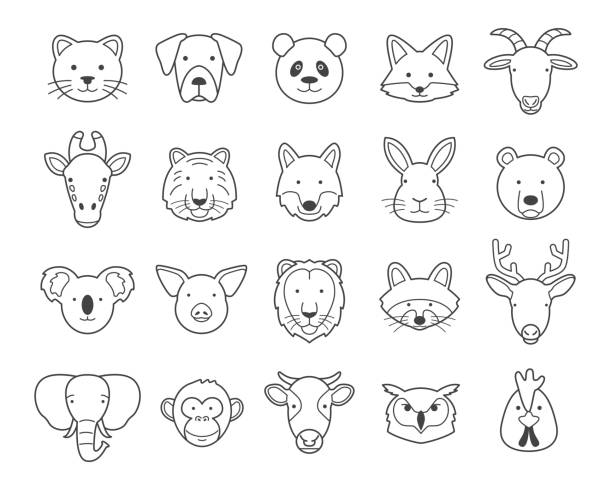 Animal heads Animal heads. Black and white. Outline Set. elephant drawings stock illustrations