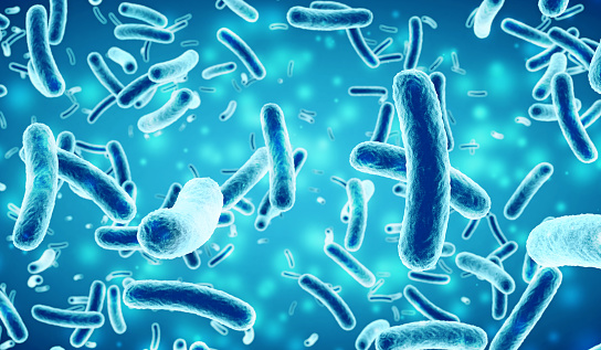 bacterias en un fondo azul photo