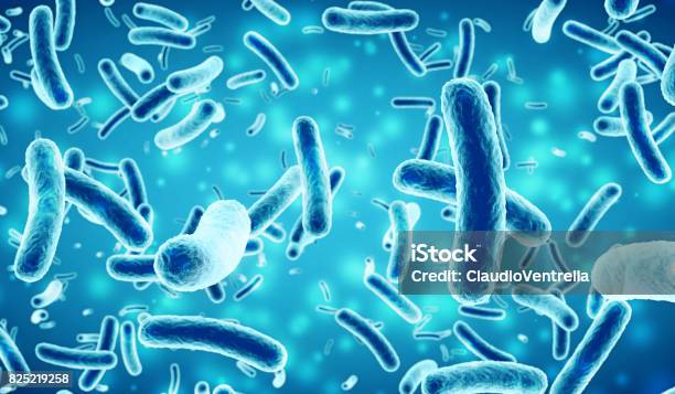 Photo libre de droit de Bactéries Dans Un Fond Bleu banque d'images et plus d'images libres de droit de Bactérie - Bactérie, Micro-organisme, Bacillus Subtilis