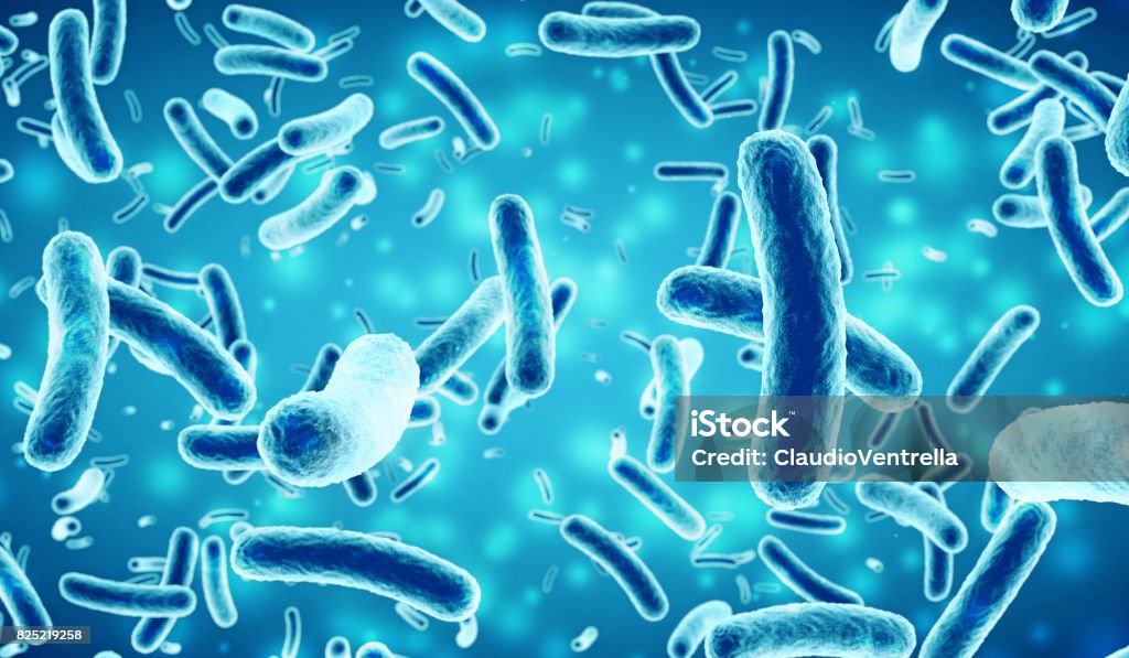 bacteria in a blue background rod - shaped bacteria in a blue background Bacterium Stock Photo