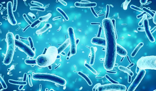 rod - shaped bacteria in a blue background