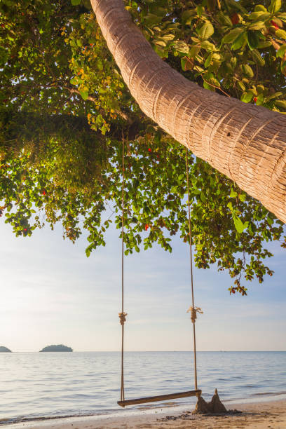 istock Tropical sea beach at Koh Change island 825220036