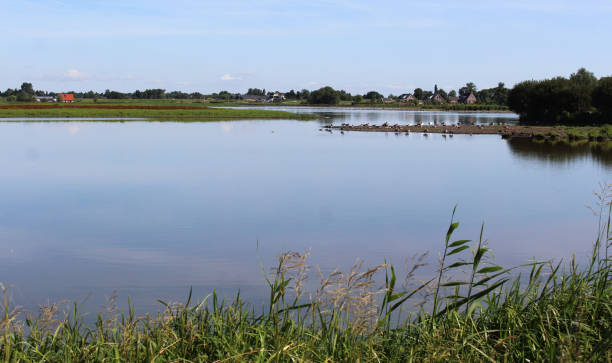 istock landscape Groene Jonker, Nieuwkoopse Plassen 825223240