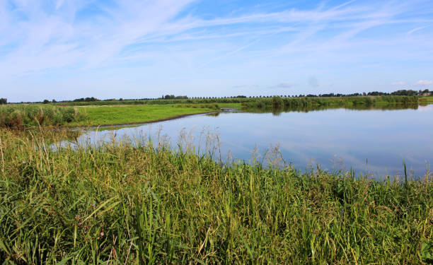 istock landscape Groene Jonker, Nieuwkoopse Plassen 825223268