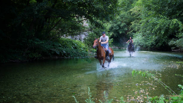 istock Friends riding his horse on the river 825223322