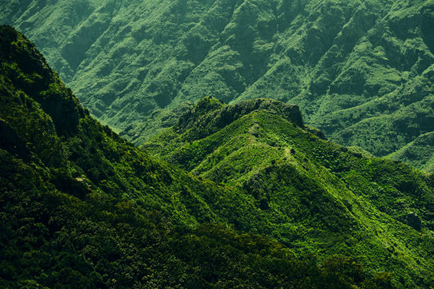 istock mountain view in Tenerife 825226712