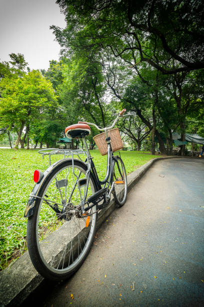 istock A bicycle on road  and green tree in public park. 825227742