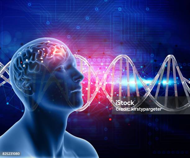 Medizinische 3dhintergrund Mit Männerkopf Und Gehirn Auf Dnastränge Stockfoto und mehr Bilder von DNA