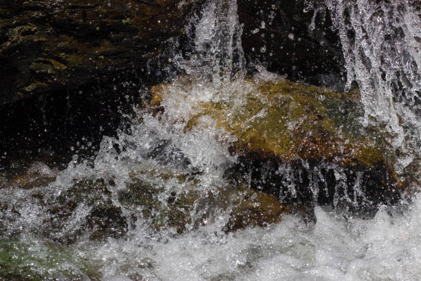 cascade - runnel photos et images de collection