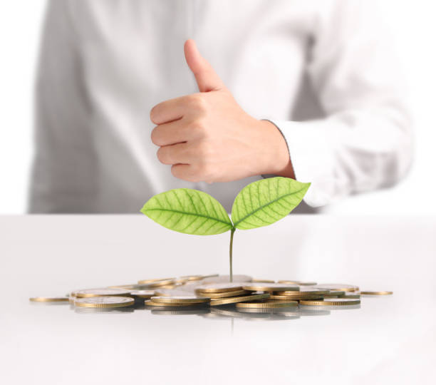 istock money plant growing from coins in hand 825231370
