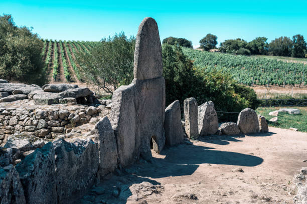 Giants' grave of Coddu Vecchiu in summer landscape. Sardinia. Italy. Giants' grave of Coddu Vecchiu in summer landscape. Sardinia. Italy. sardinia vineyard stock pictures, royalty-free photos & images