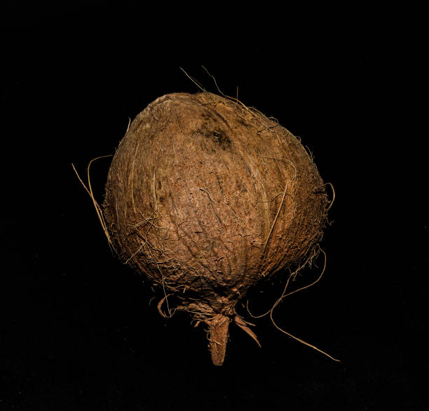 Coconuts