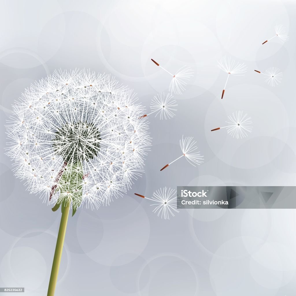 Floral Trendy Background With Flower Dandelion Stock Illustration